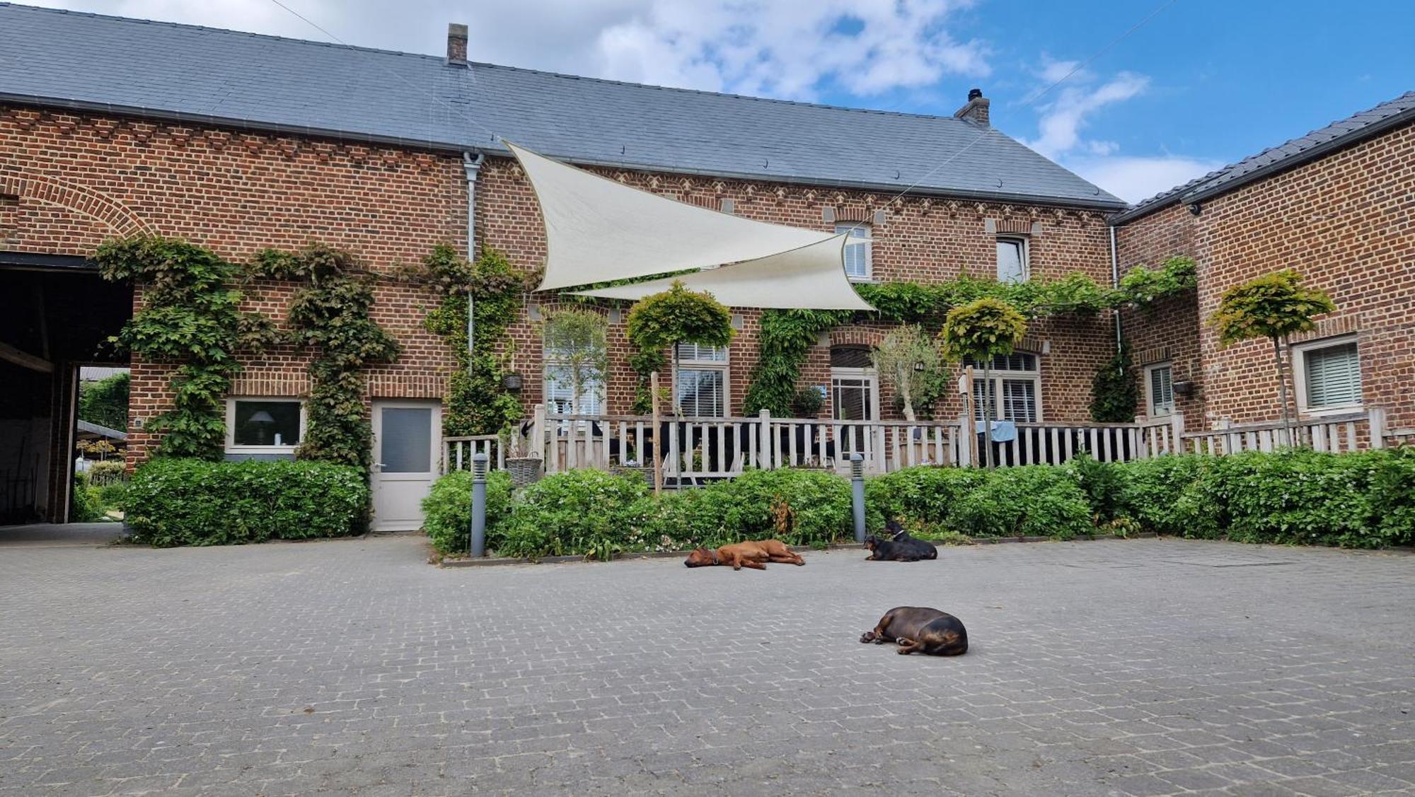 Guesthouse Biolleke Boutersem Eksteriør bilde